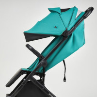 Дитяча коляска Anex Air-X Green